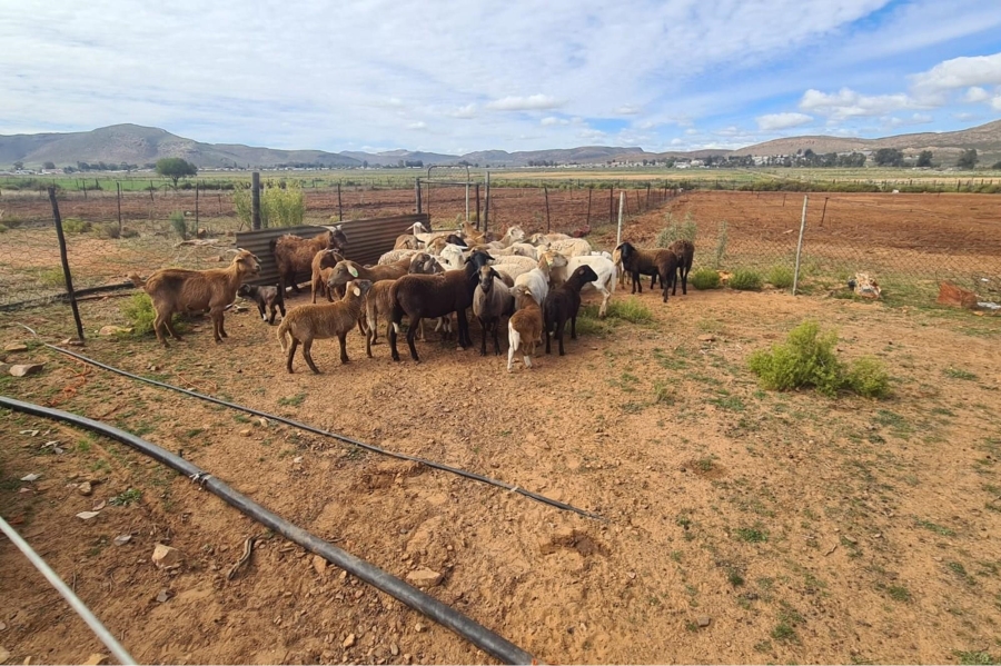 0 Bedroom Property for Sale in Touws River Rural Western Cape